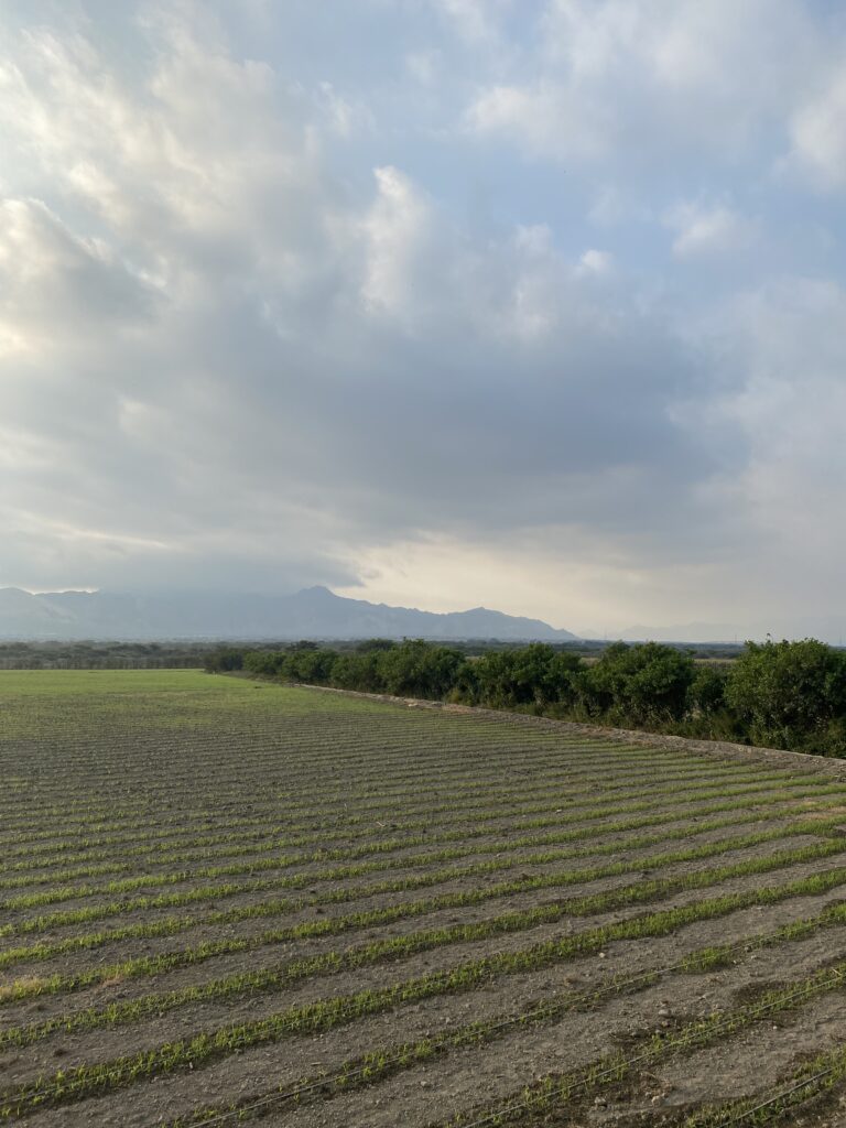 De la luz solar a tu toma corriente: un ciclo de energía limpia y eficiente.
