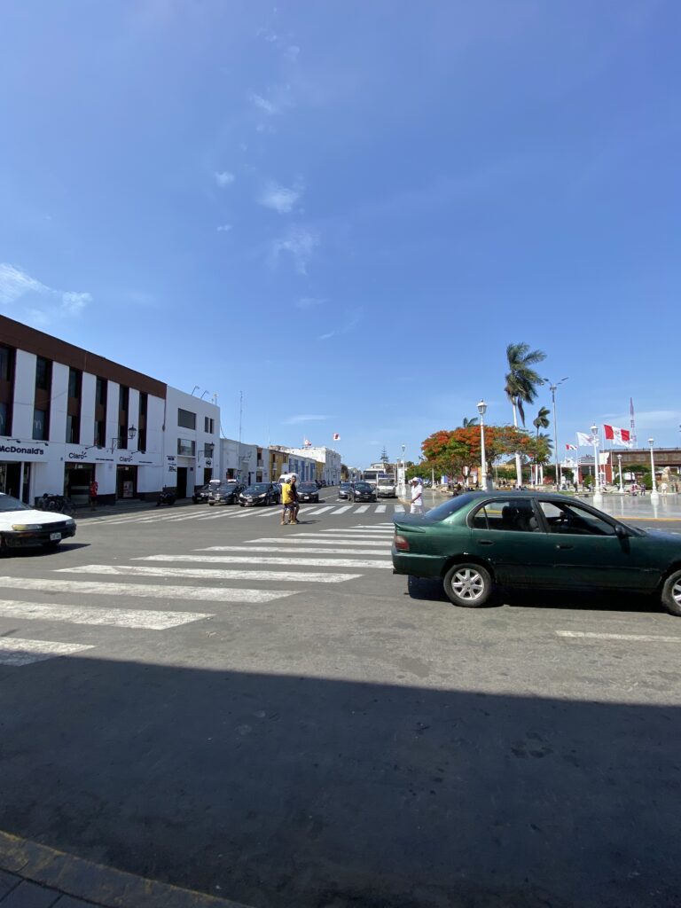 A diferencia de la vida en una zona urbana —donde, si bien se concentra la mayor parte de la población de un país—, muchas personas eligen vivir en el campo debido a las numerosas ventajas que ofrece. La vida en la ciudad y la vida en el campo representan, en esencia, dos ecosistemas y estilos de vida profundamente distintos.