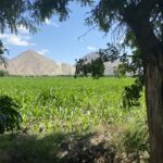 El autor analiza el uso de la cocina de leña en entornos rurales, destacando su rentabilidad económica, su impacto en el sabor de la comida y su sostenibilidad cuando se gestiona de manera consciente. Explica cómo la leña se obtiene de forma natural mediante podas o recolección, y describe su adquisición mediante unidades estandarizadas como las "rajas".