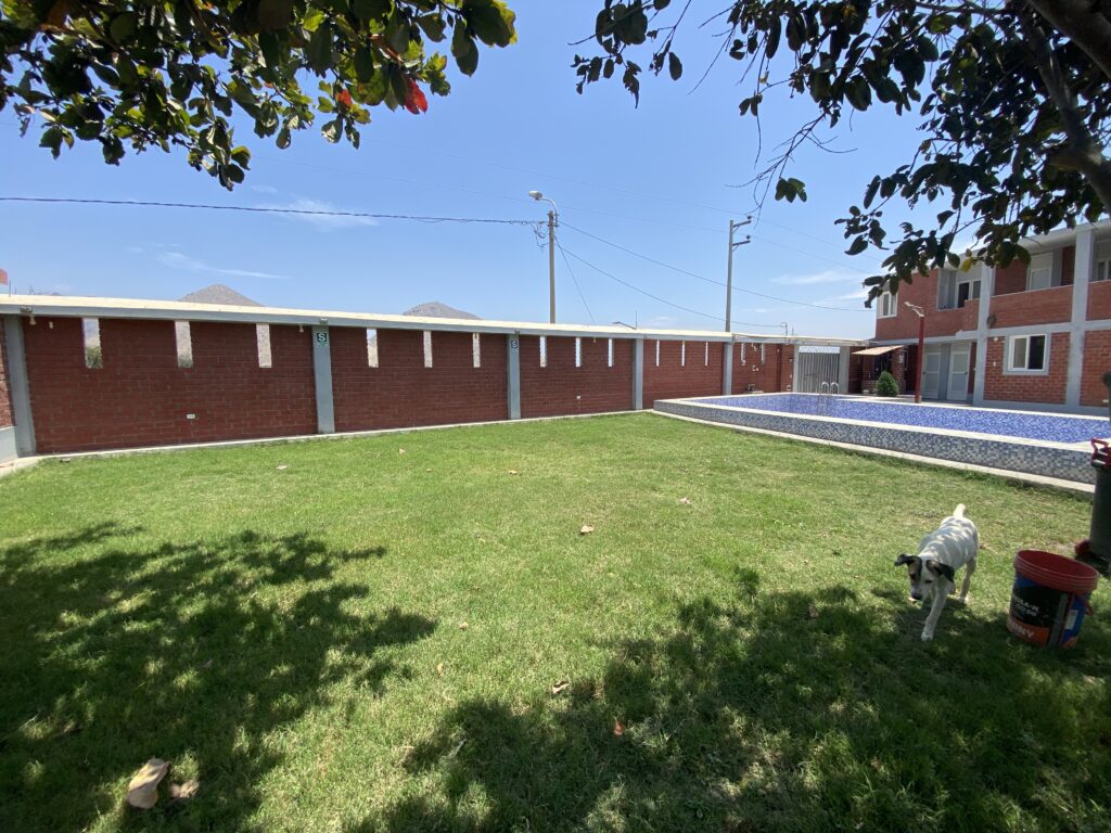 El texto explica el proceso para preparar y mejorar un terreno muy duro o arcilloso antes de sembrar césped. Recomienda el uso de Yeso Agrícola (NATCAL) para descompactar la tierra y volverla más fértil, detallando los pasos a seguir: desde nivelar y desmenuzar el suelo, hasta aplicar y mezclar el producto de manera uniforme. El autor garantiza que, siguiendo estas instrucciones, se obtendrán excelentes resultados y se evitará la pérdida de tiempo y dinero en una siembra infructuosa.