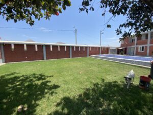 El texto explica el proceso para preparar y mejorar un terreno muy duro o arcilloso antes de sembrar césped. Recomienda el uso de Yeso Agrícola (NATCAL) para descompactar la tierra y volverla más fértil, detallando los pasos a seguir: desde nivelar y desmenuzar el suelo, hasta aplicar y mezclar el producto de manera uniforme. El autor garantiza que, siguiendo estas instrucciones, se obtendrán excelentes resultados y se evitará la pérdida de tiempo y dinero en una siembra infructuosa.