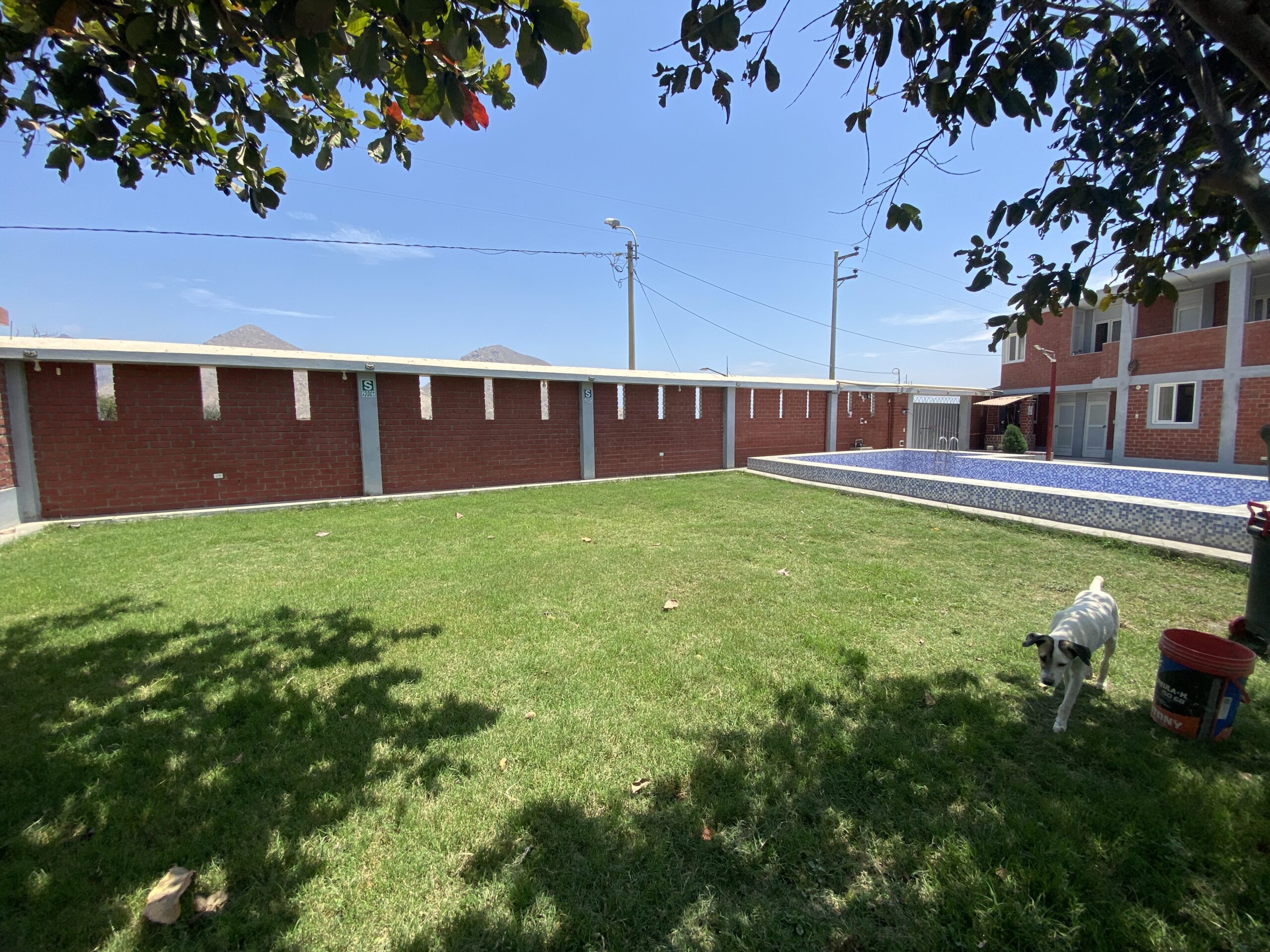 El texto explica el proceso para preparar y mejorar un terreno muy duro o arcilloso antes de sembrar césped. Recomienda el uso de Yeso Agrícola (NATCAL) para descompactar la tierra y volverla más fértil, detallando los pasos a seguir: desde nivelar y desmenuzar el suelo, hasta aplicar y mezclar el producto de manera uniforme. El autor garantiza que, siguiendo estas instrucciones, se obtendrán excelentes resultados y se evitará la pérdida de tiempo y dinero en una siembra infructuosa.