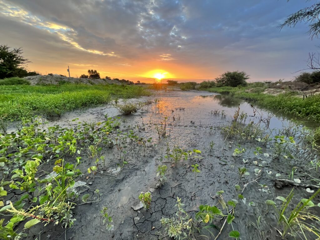 Paisajes de Mocan, quinta la gloria en Casa Grande.