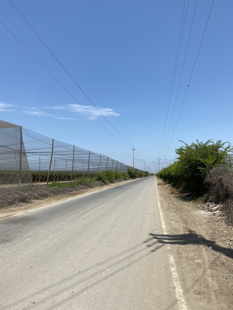 La historia de Mocán es la historia de quienes trabajaron la tierra y dejaron huella en ella.