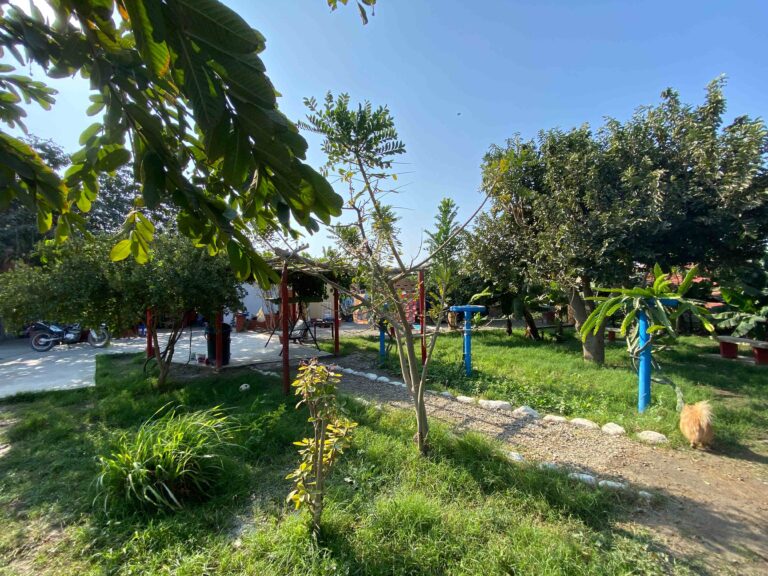 Reconectando con la Naturaleza: Una Experiencia Transformadora en Hacienda Mocan