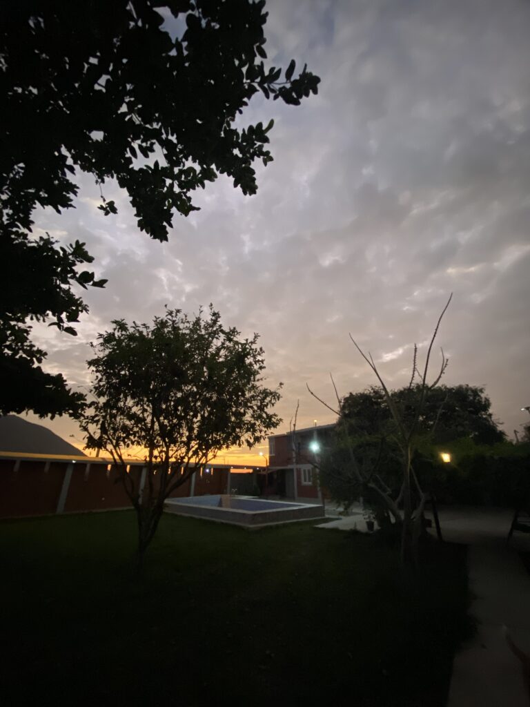 Entre el ruido urbano y la prisa diaria, el campo aparece como una forma concreta de reconexión.