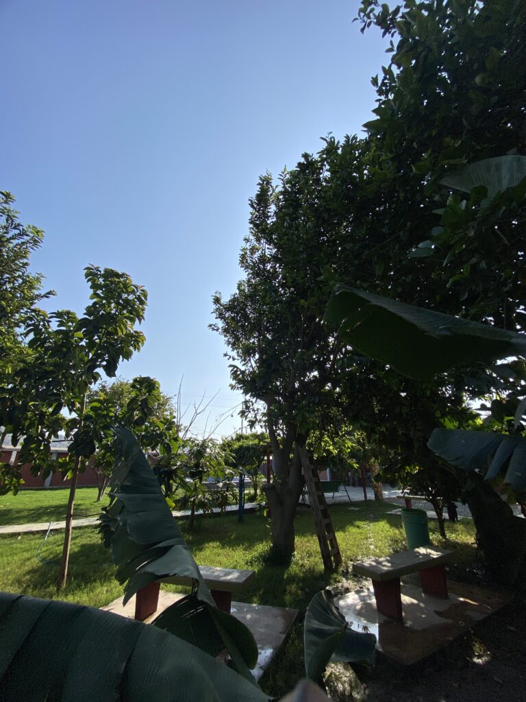 Más que un alojamiento, una casa de campo puede convertirse en una experiencia de descanso integral.