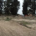 ¿Cómo proteger tu hogar, cultivos y negocio ante El Niño 2026? Descubre recomendaciones oficiales de prevención para la costa peruana. Prepárate hoy.