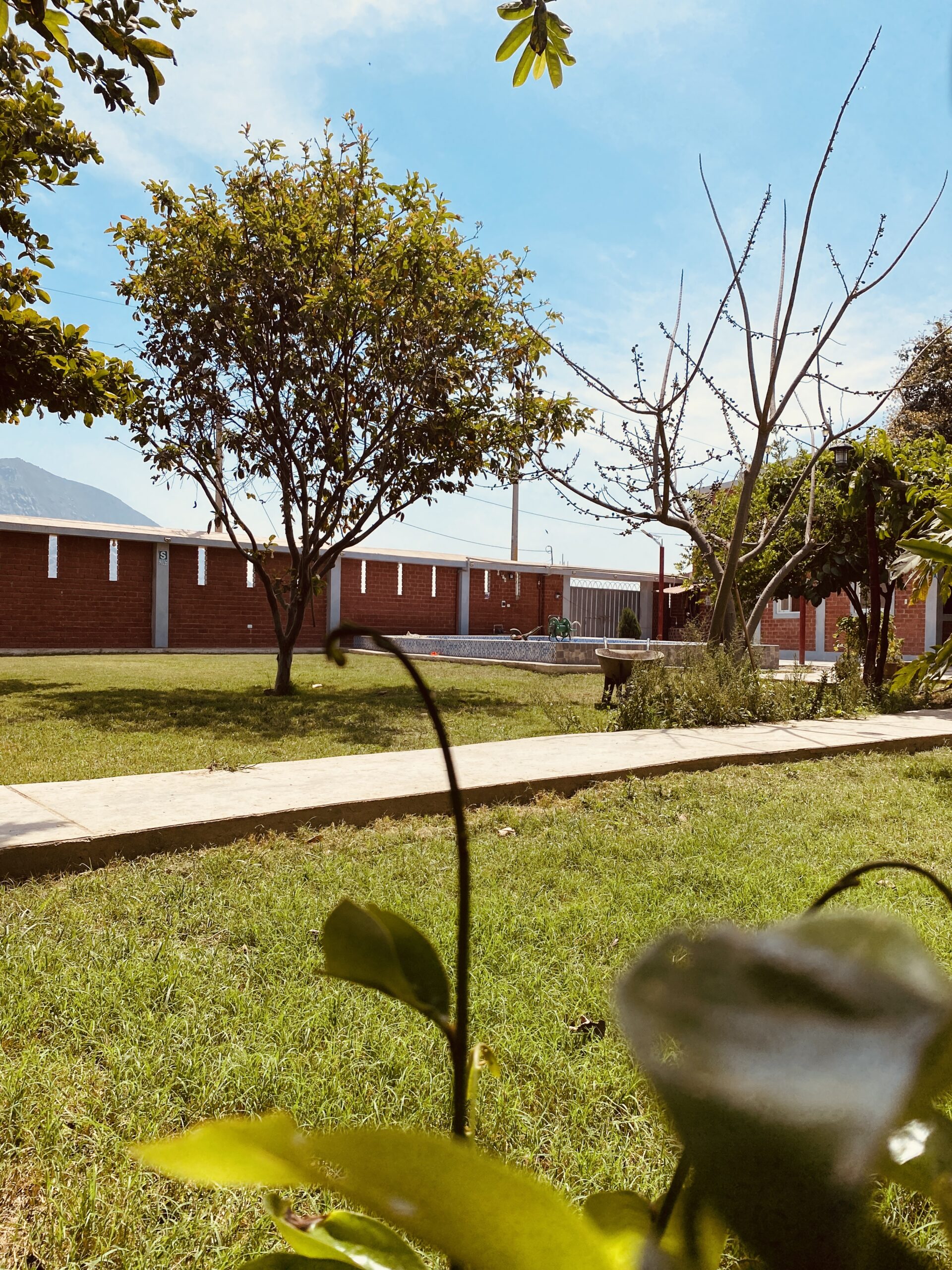 Casa de campo en Casa Grande, La Libertad. Turismo vivencial para familias con huerta orgánica, espacios privados y conexión genuina con la vida rural peruana. ¡Reserva ya!