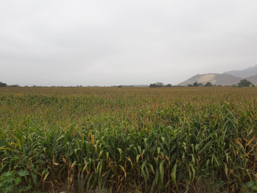 El Fenómeno de El Niño 2026 representa un reto, pero también una oportunidad para fortalecer nuestra cultura de prevención.