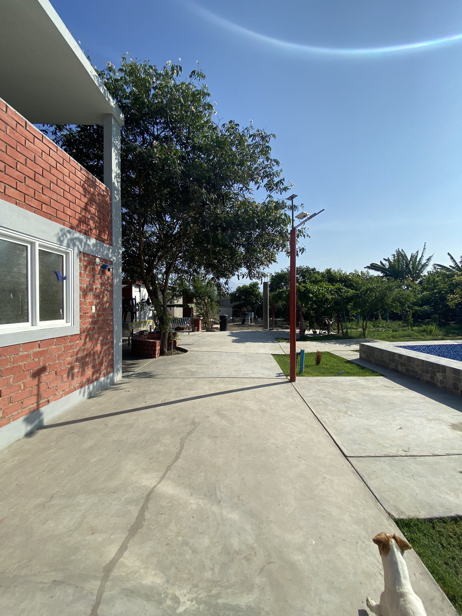 Espacio para mascotas