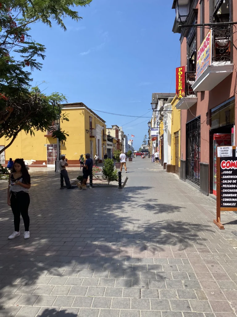 Las casas de campo ofrecen tranquilidad, naturaleza y comodidad a pocos minutos de la ciudad.