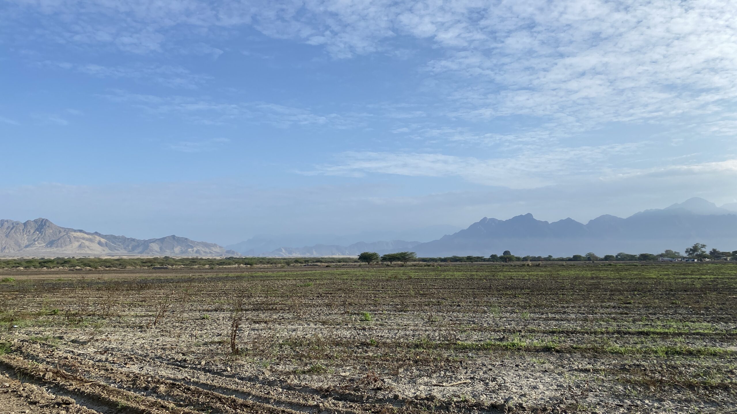 Actividad Casa Polska