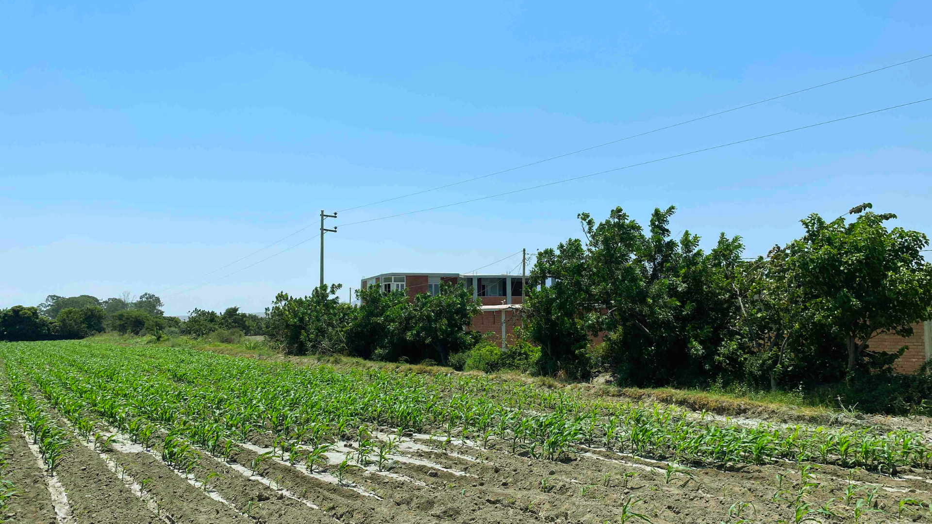 Casa Polska vista frontal