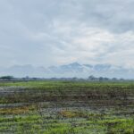 Volver al campo: el deseo de una vida más lenta, más verde y más humana