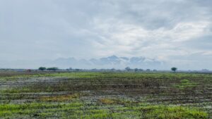 Volver al campo: el deseo de una vida más lenta, más verde y más humana